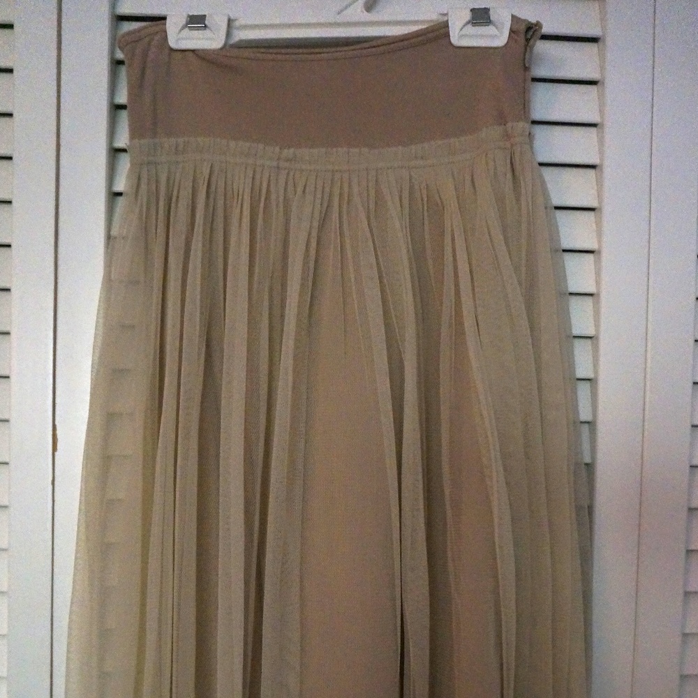 Beige Tulle Skirt with Cotton Slip